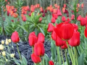 image 181 boarder vacancies